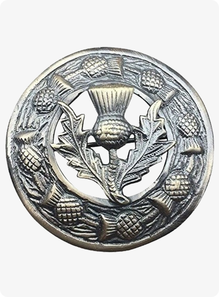 Badge Fly Plaid Brooch
